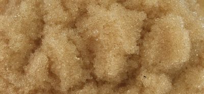 Hạt nhựa khử màu đường Amberlite