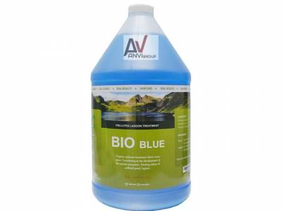 Vi sinh Bio Blue xử lý ao hồ ô nhiễm
